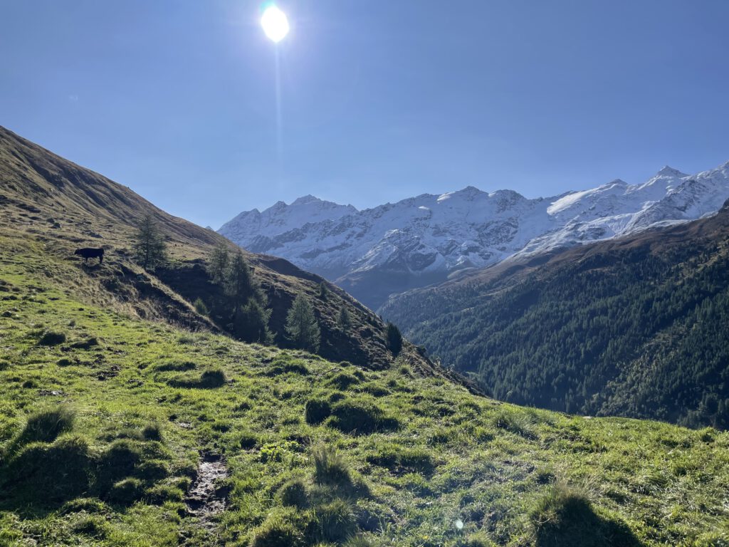 der Weg nach oben